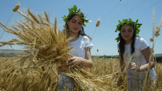 jüdische Bevölkerung. Zwei Mädchen feiern die Ernte im Kibbuz Ayelet Hashahar in Nordisrael. Foto von Haim Azulay/Flash90