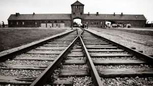 Holocaust