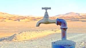 Wasser