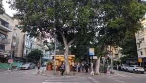 Tel Aviv
