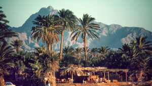 Sinai