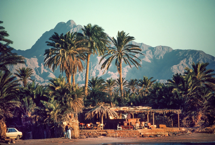 Sinai