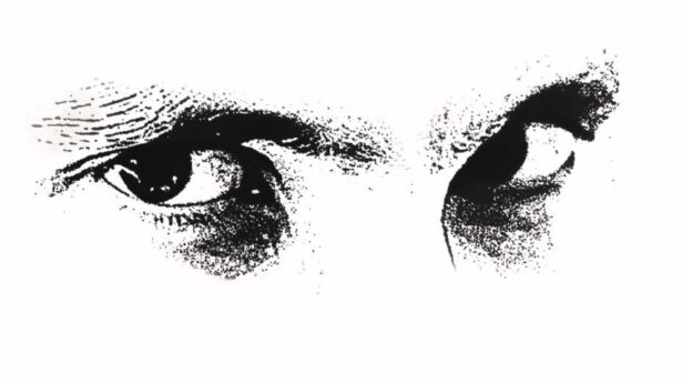 Auge