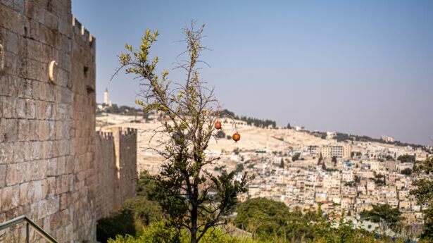 Jerusalem