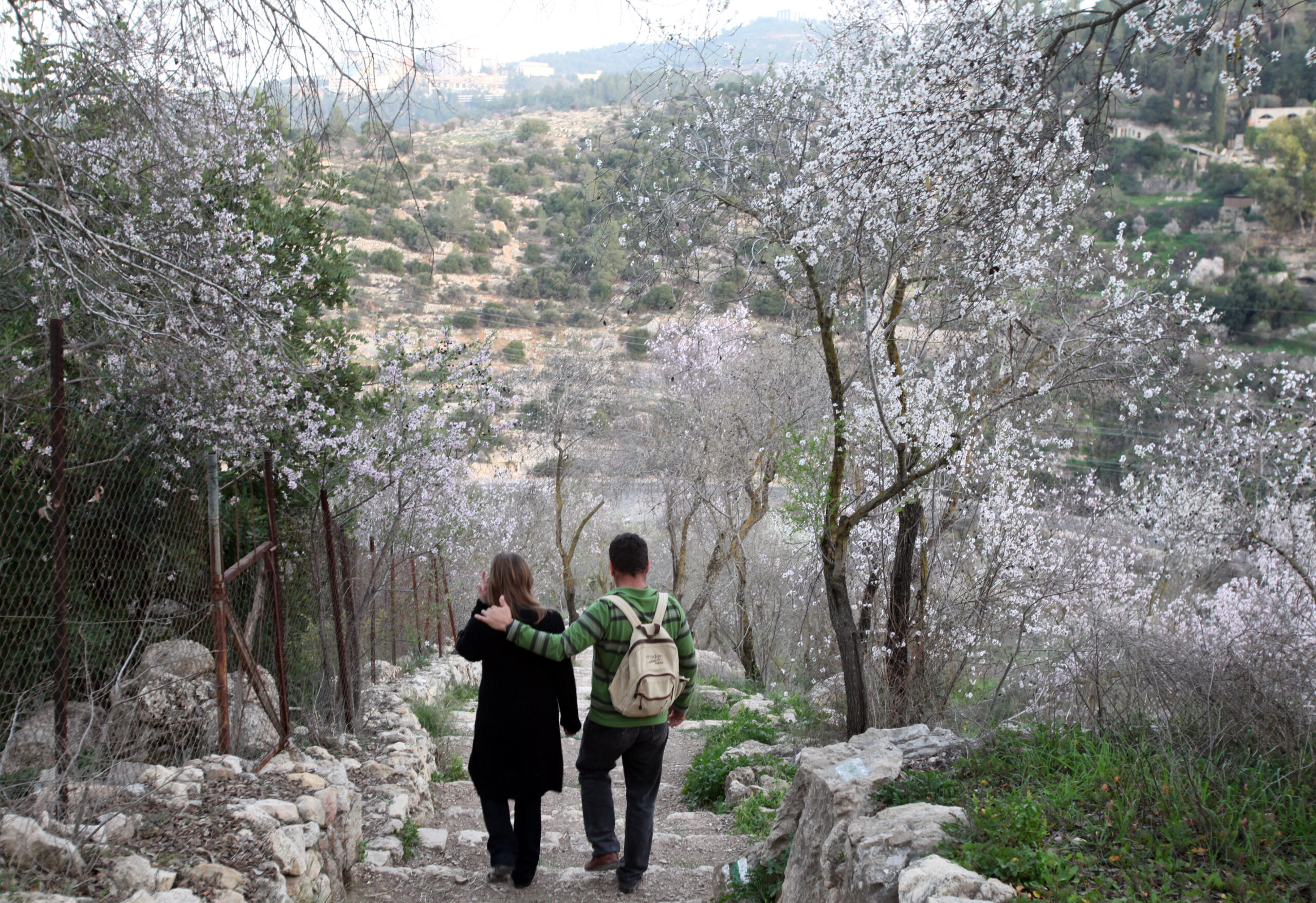 Tu B'Shevat