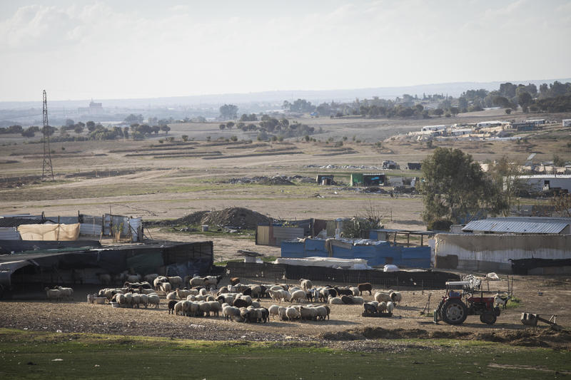 Eine Schafherde in einem Beduinendorf in der Negev-Wüste in Südisrael am 21. Januar 2017. Foto von Nati Shohat/Flash90