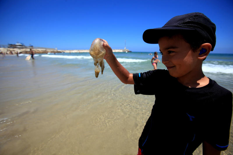 Ein kleiner Junge spielt mit einer toten Qualle am Strand von Ashkelon, 6. Juli 2013. Foto: Flash 90
