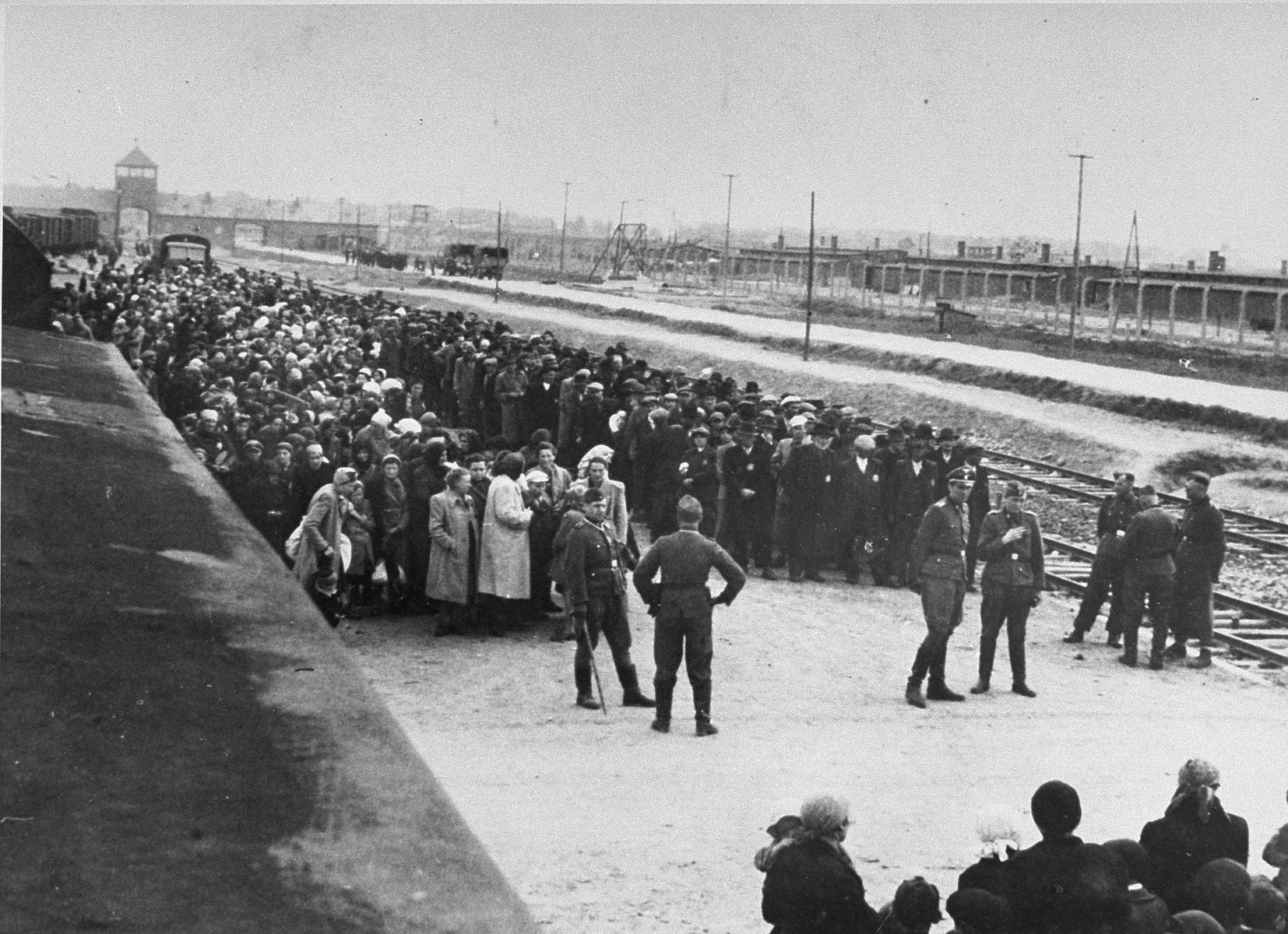 Selektion auf der Rampe in Auschwitz-Birkenau,1944. Von Bernhard Walter – United States Holocaust Memorial Museum (Fotografie Nr. 77319), Wikipedia Public Domain