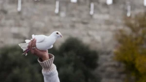 Jerusalem