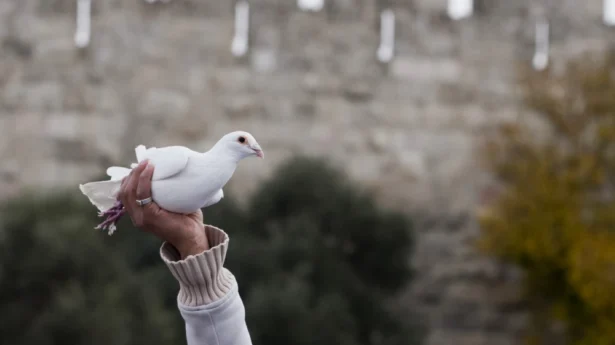Jerusalem